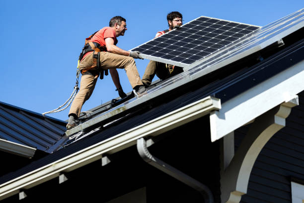 Best Roof Moss and Algae Removal  in Withamsville, OH